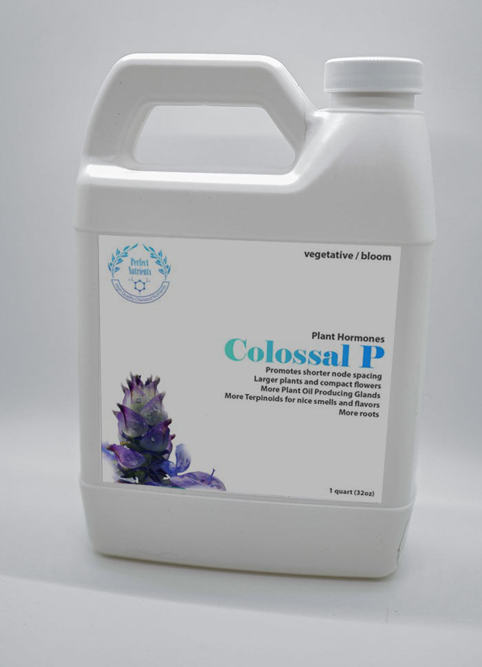 Colossal P Plant Hormones
